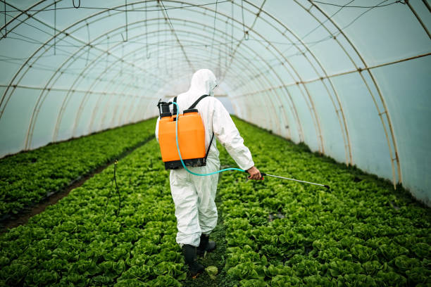 Best Pest Control for Businesses  in Oswego, IL
