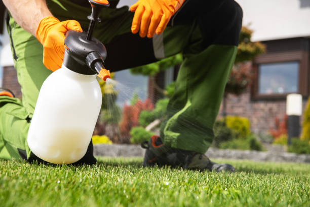 Best Flea Control Services  in Oswego, IL