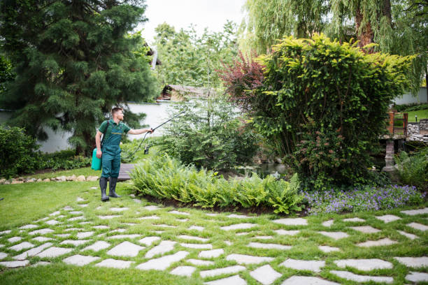 Best Commercial Pest Control Services  in Oswego, IL