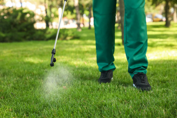 Best Best Pest Control Companies  in Oswego, IL