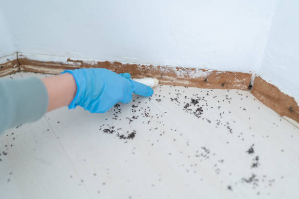 Best Best Pest Control Companies  in Oswego, IL